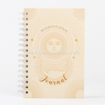 369 Affirmation Manifestation Daily Journal Alternative Title